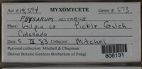 Image Associated With the Occurence